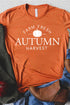 Orange Farm Fresh Autumn Harvest Short Sleeve T Shirt