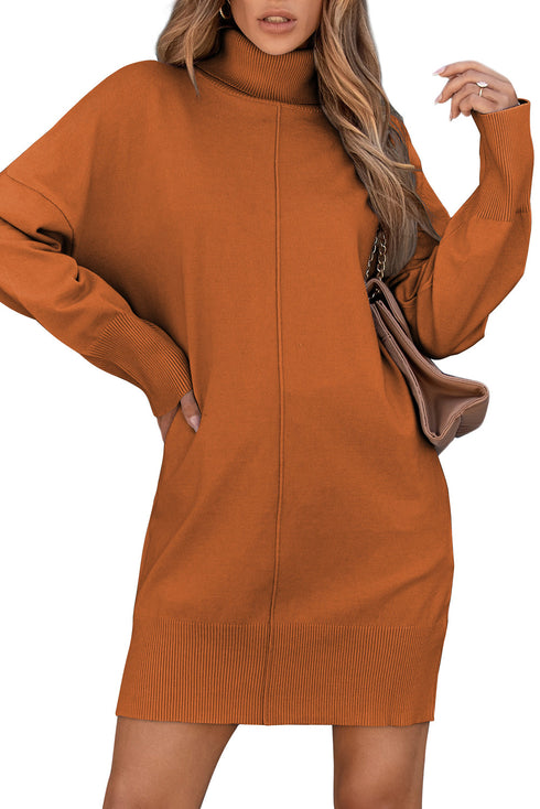 Oversized Turtleneck Center Seam Knit Sweater Dress