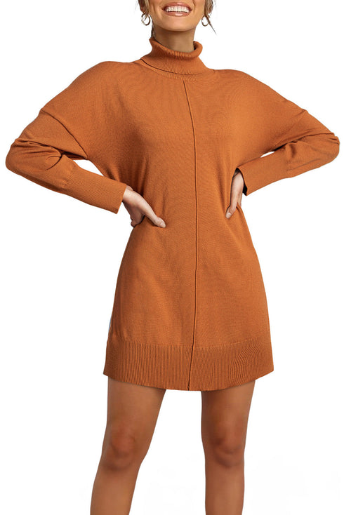 Oversized Turtleneck Center Seam Knit Sweater Dress