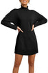 Oversized Turtleneck Center Seam Knit Sweater Dress