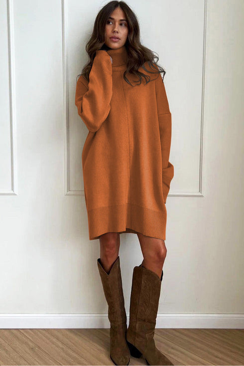 Oversized Turtleneck Center Seam Knit Sweater Dress