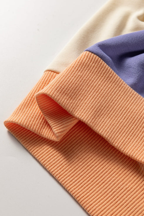 Pastel Color Block Drop Shoulder Cropped Sweatshirt