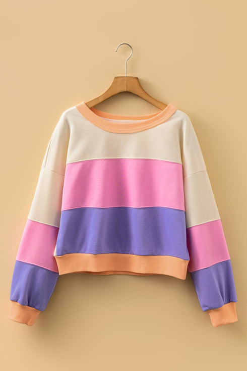 Pastel Color Block Drop Shoulder Cropped Sweatshirt