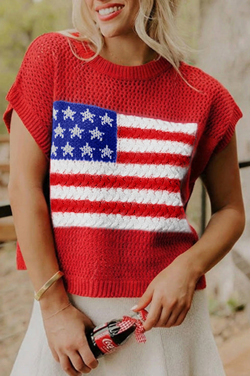 Patriotic Americana Flag Graphic Knit Short Sleeve Sweater