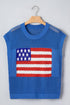 Patriotic Americana Flag Graphic Knit Short Sleeve Sweater