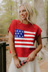 Patriotic Americana Flag Graphic Knit Short Sleeve Sweater