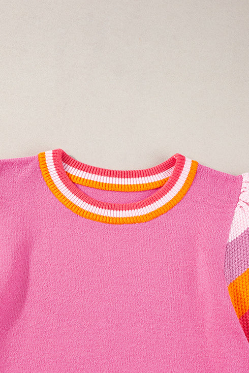 Patterned Flutter Sleeve Crew Neck Knit Sweater Top
