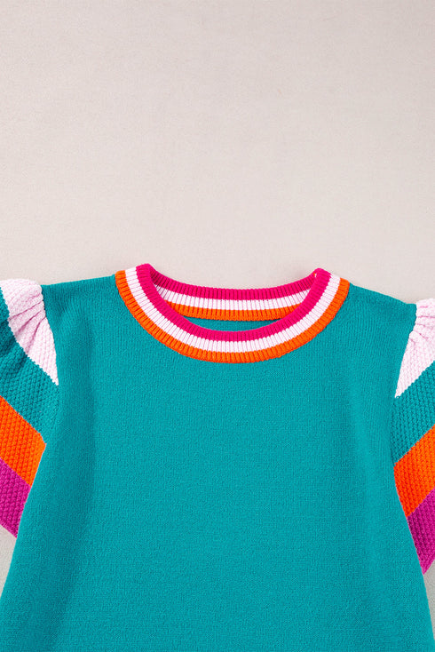 Patterned Flutter Sleeve Crew Neck Knit Sweater Top