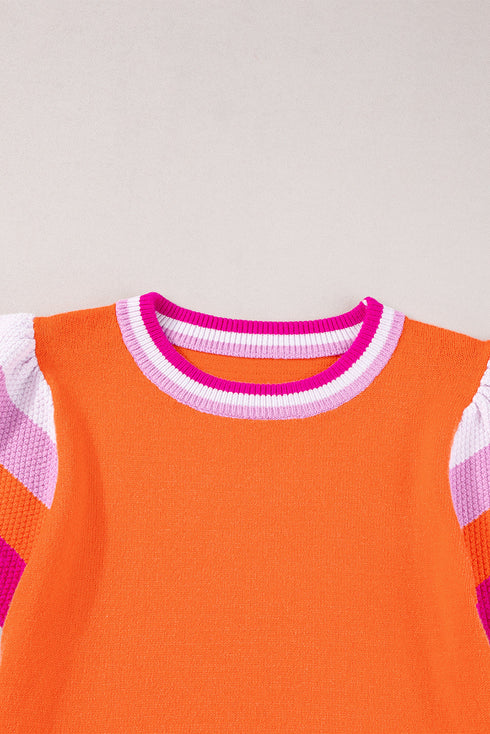 Patterned Flutter Sleeve Crew Neck Knit Sweater Top
