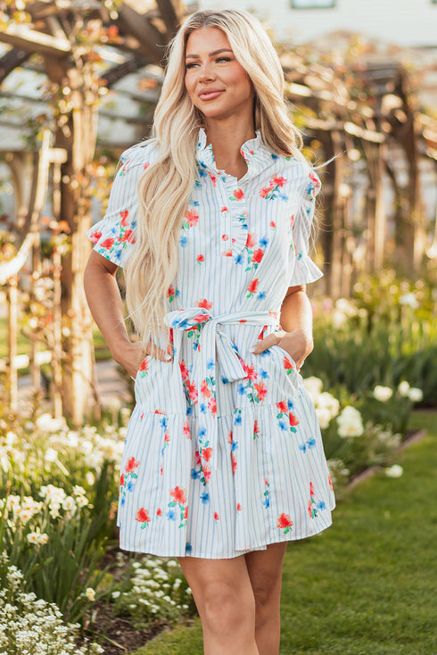 Playful Print Mix Ruffle Sleeve Tie Waist V Neck Mini Dress