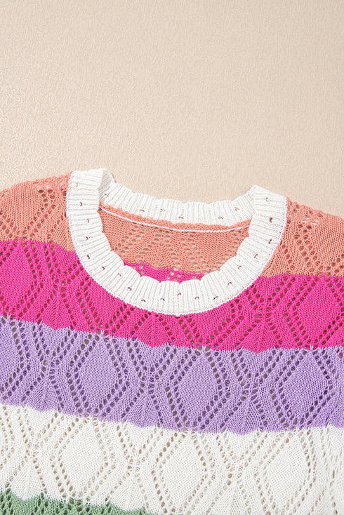 Pointelle Knit Flutter Sleeve Mixed Media Top