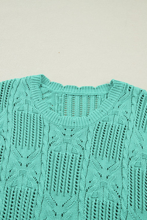 Pointelle Knit Patterned Scalloped Trim Short Sleeve Sweater
