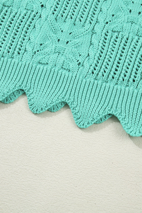Pointelle Knit Patterned Scalloped Trim Short Sleeve Sweater