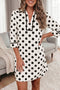 Polka Dot Half Sleeve Collar V Neck Pocketed Casual Mini Dress