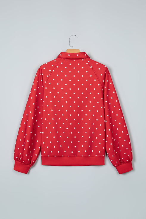 Polka Dot Metal Button Collar Pullover Sweatshirt