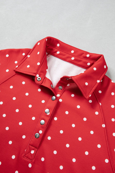 Polka Dot Metal Button Collar Pullover Sweatshirt