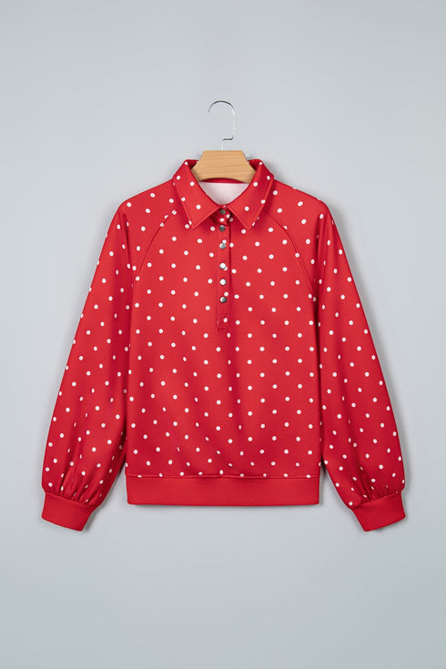 Polka Dot Metal Button Collar Pullover Sweatshirt