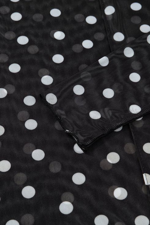 Polka Dot Sheer Mesh Mock Neck Bodycon Long Sleeve Top