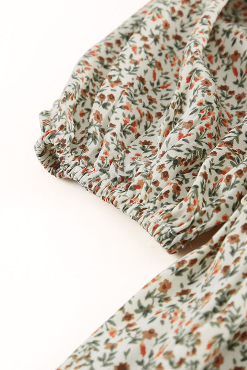 Puff Sleeve Smocked Top