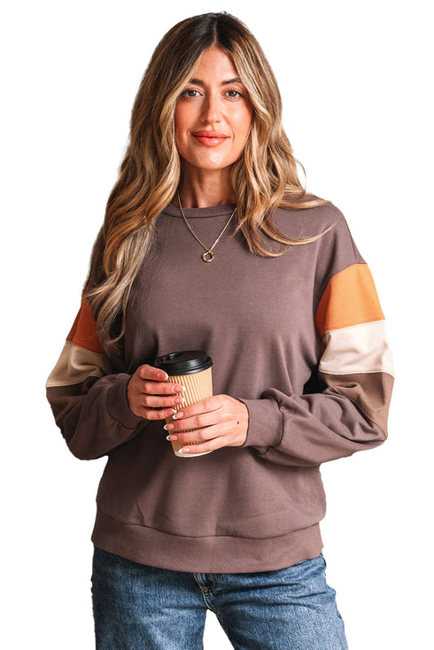 Relaxed Drop Shoulder Color Block Sleeve Pullover Sweatshirt