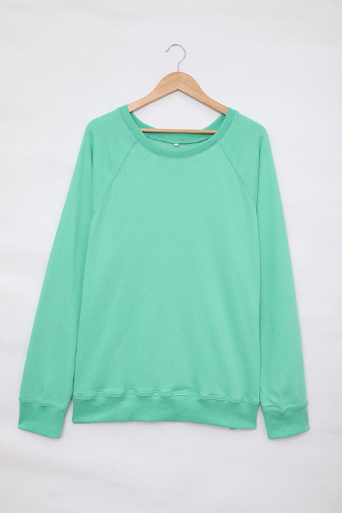 Relaxed Fit Ribbed Trim Crew Neck Sweatshirt