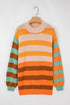 Relaxed Fit Striped Crew Neck Knit Sweater