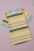 Relaxed Fit Striped Crew Neck Short Sleeve Top