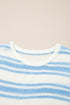 Relaxed Fit Striped Short Sleeve Dolman Knit Top