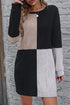 Ribbed Knit Panel Crew Neck Mini Sweater Dress