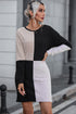 Ribbed Knit Panel Crew Neck Mini Sweater Dress