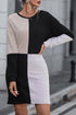 Ribbed Knit Panel Crew Neck Mini Sweater Dress