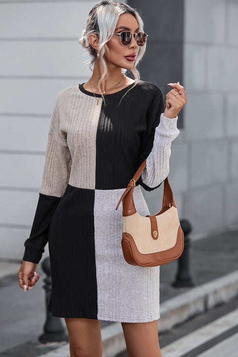 Ribbed Knit Panel Crew Neck Mini Sweater Dress