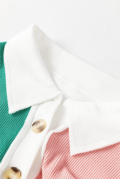 Ribbed Texture Color Block Partial Button Collared Top