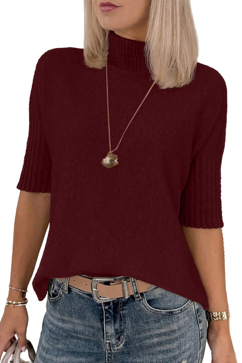 Ribbed Trim High Neck Short Sleeve Sweater