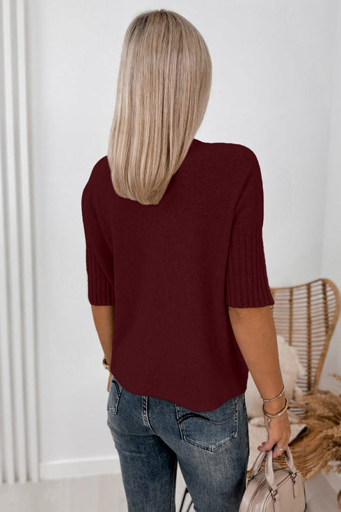 Ribbed Trim High Neck Short Sleeve Sweater