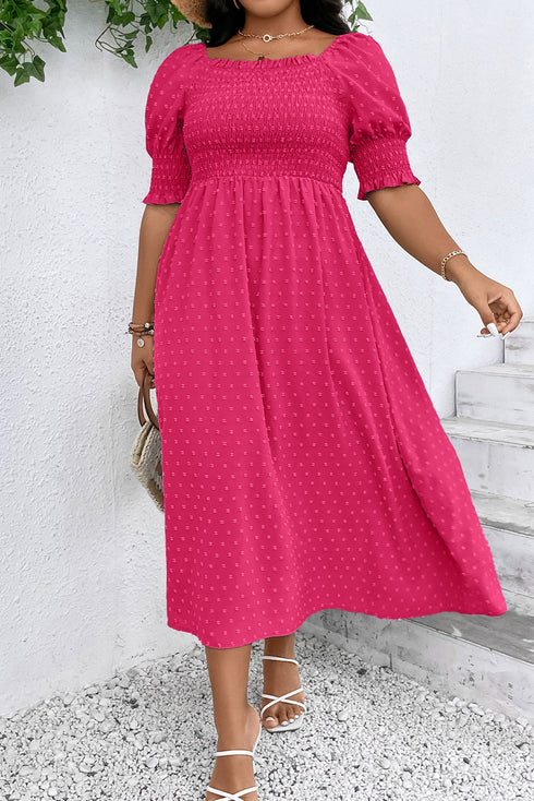 Romantic Swiss Dot Smocked Frill Neck Short Sleeve A Line Plus Size Dress