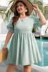 Ruffle Sleeve Flared A Line Plus Size Mini Dress