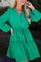 Ruffle Trim Button Front Drawstring Waist Tiered Mini Dress