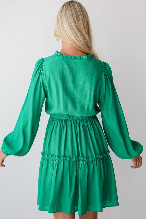 Ruffle Trim Button Front Drawstring Waist Tiered Mini Dress