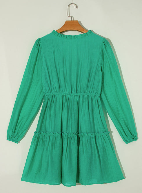 Ruffle Trim Button Front Drawstring Waist Tiered Mini Dress