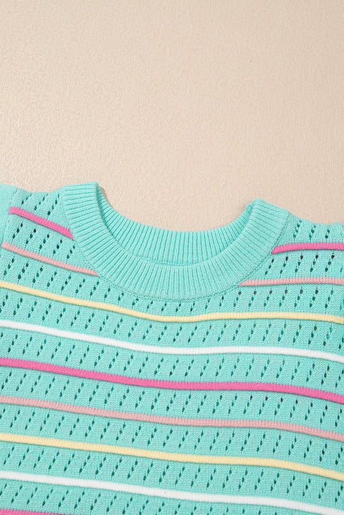 Ruffled Flutter Sleeve Striped Pointelle Knit Top