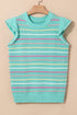 Ruffled Flutter Sleeve Striped Pointelle Knit Top
