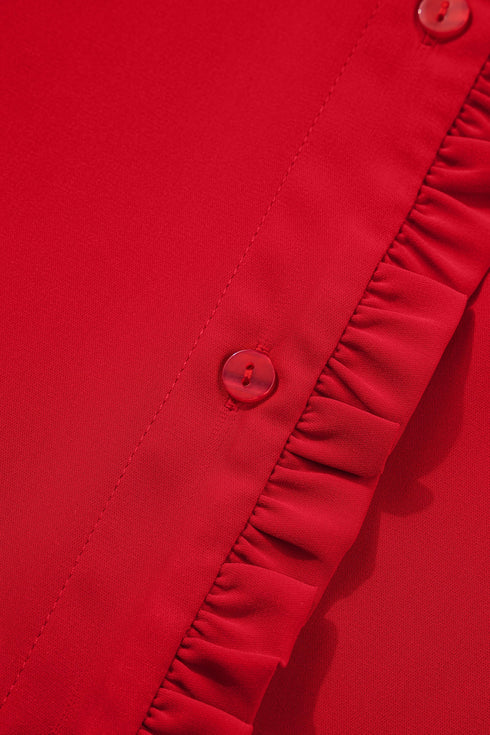 Ruffled Placket Long Sleeve Button Down Blouse
