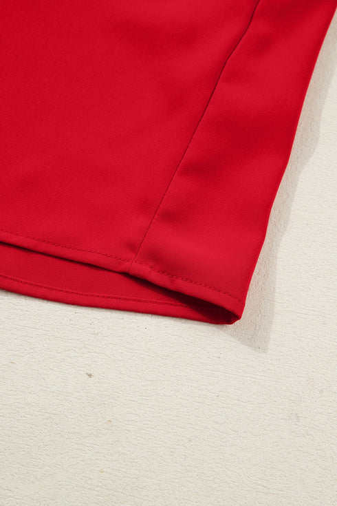 Ruffled Placket Long Sleeve Button Down Blouse
