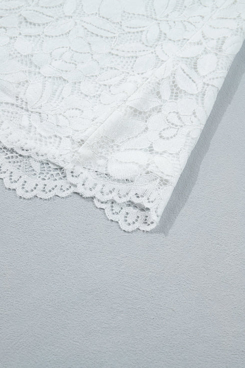 Ruffled Round Neck Long Flounce Sleeve Sheer Lace Blouse