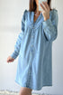 Ruffled V Neck Buttoned Denim Shift Mini Dress