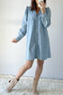 Ruffled V Neck Buttoned Denim Shift Mini Dress