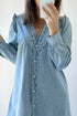 Ruffled V Neck Buttoned Denim Shift Mini Dress