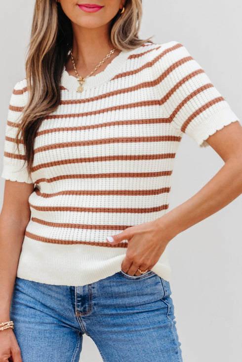 Scalloped Crew Neck Striped Textured Short Sleeve Sweater