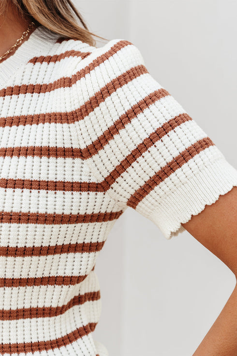 Scalloped Crew Neck Striped Textured Short Sleeve Sweater